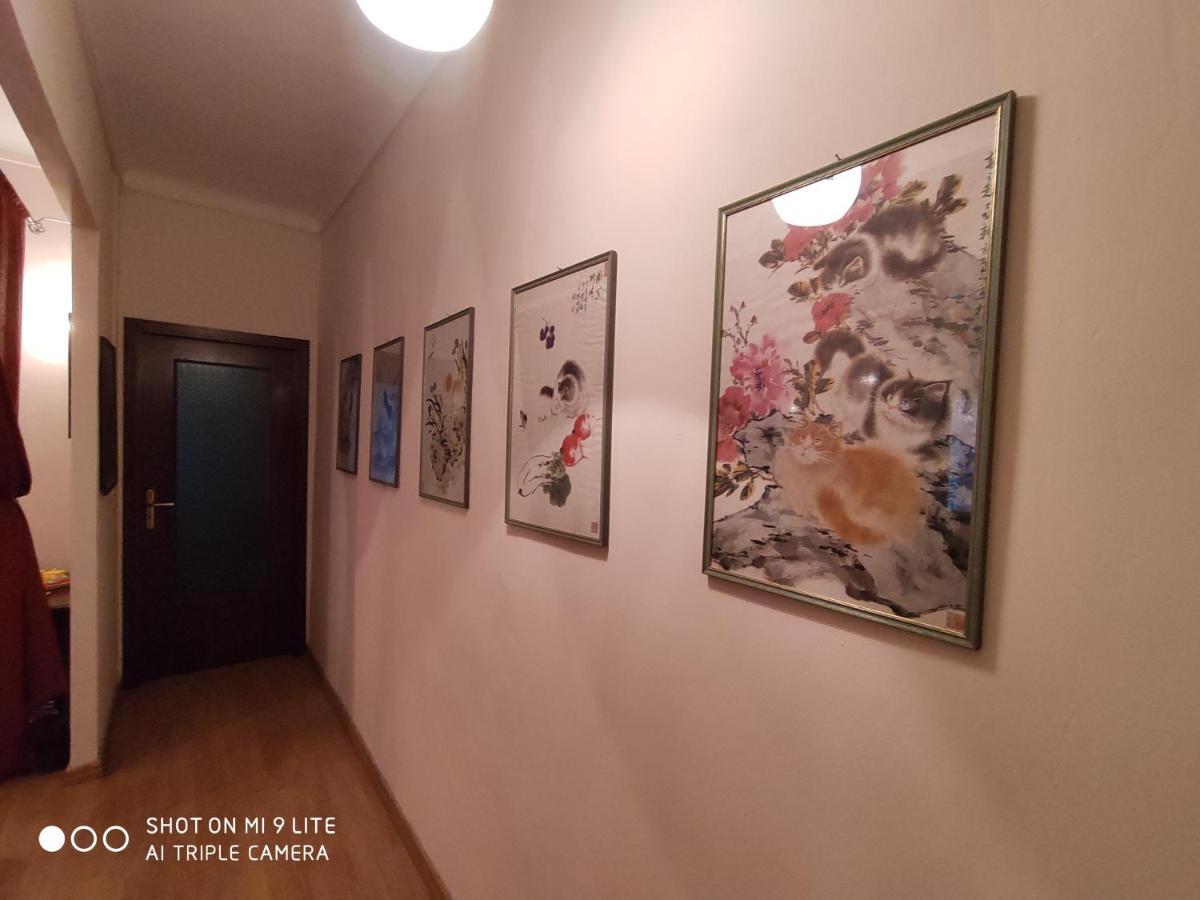 ラ・モッラEx Ostu Impero: Vino, Tartufo Ed Ospitalitaアパートメント エクステリア 写真